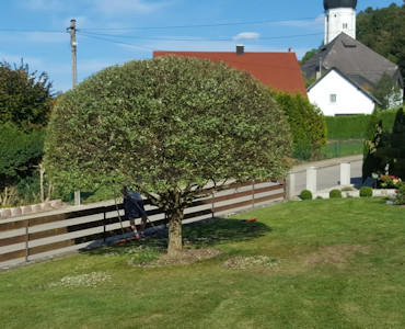 1000 Gartenideen Stefan Tausend